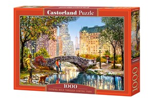 Puzzle 1000 Evening Walk Through Central Park polish usa