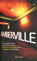 Amberville online polish bookstore