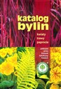 Katalog bylin Kwiaty trawy paprocie - Opracowanie Zbiorowe