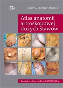 Atlas anatomii artroskopowej dużych stawów pl online bookstore