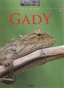 Świat zwierząt Gady  - Polish Bookstore USA