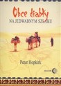 Obce diabły na jedwabnym szlaku W poszukiwaniu zaginionych miast i skarbów w chińskiej części Azji Środkowej - Peter Hopkirk  