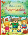Ubierz misie Przeprowadzka - Felicity Brooks, Ag Jatkowska (ilustr.)