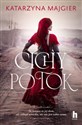 Cichy potok Wielkie Litery books in polish