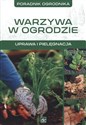 Warzywa urządzanie warzywniaka Aranżacja ogrodu polish books in canada