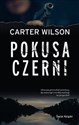 Pokusa czerni  
