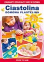 Ciastolina Domowa plastelina Zabawy edukacyjne w domu. Zrób to sam. Dla dzieci 2+ - Joanna Paruszewska