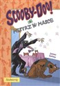 Scooby-Doo! i Mistrz w Masce bookstore