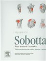 Atlas anatomii człowieka Sobotta Tablice anatomiczne mięśni, stawów i nerwów -  to buy in Canada