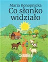 Co słonko widziało in polish
