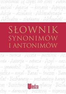 Słownik synonimów i antonimów polish usa