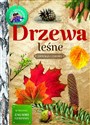 Drzewa leśne. Młody obserwator przyrody Polish bookstore