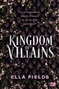 Kingdom of Villains to buy in USA