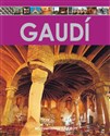 Encyklopedia sztuki Gaudi chicago polish bookstore