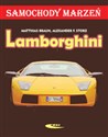 Lamborghini Samochody marzeń - Matthias Braun, Alexander Storz pl online bookstore