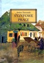 Syzyfowe prace - Stefan Żeromski buy polish books in Usa