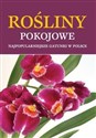 Rośliny pokojowe Najpopularniejsze gatunki w Polsce  
