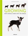 Growing How Animals come into the World books in polish