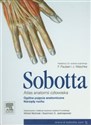 Atlas anatomii człowieka Sobotta Tom 1 Ogólne pojęcia anatomiczne. Narządy ruchu - J. Sobotta Polish Books Canada