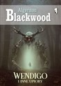 Wendigo i inne upiory - Algernon Blackwood buy polish books in Usa