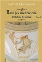 Baśń jak niedźwiedź Polskie historie Tom 2 chicago polish bookstore