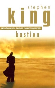 Bastion buy polish books in Usa