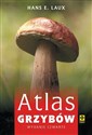 Atlas grzybów to buy in USA