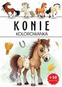 Konie to buy in USA