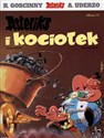 Asteriks i Obeliks Asteriks i kociołek Tom 13 - René Goscinny polish usa