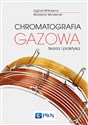 Chromatografia gazowa Teoria i praktyka Polish Books Canada