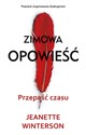 Przepaść czasu Zimowa opowieść buy polish books in Usa