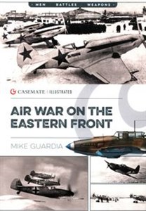 Air War on the Eastern Front  polish usa
