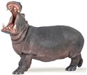Hipopotam  - 