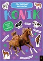 Mój cudowny przyjaciel Konik - Polish Bookstore USA