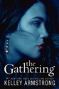 The Gathering (Darkness Rising, Band 1) polish books in canada