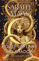 House of Flame and Shadow buy polish books in Usa