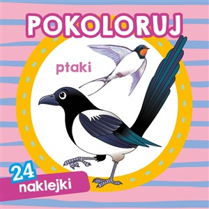 Ptaki. Pokoloruj 