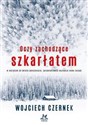 Oczy zachodzące szkarłatem  
