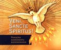 Veni Sancte Spiritus! Pamiątka Sakramentu Bierzmowania 