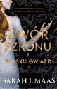Dwór szronu i blasku gwiazd Tom 4 pl online bookstore