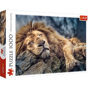 Puzzle 1000 Śpiący lew online polish bookstore