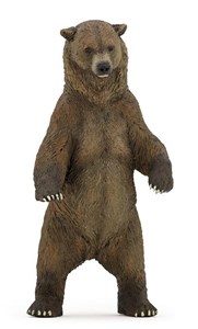 Niedźwiedź Grizzly  