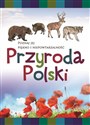Przyroda Polski Poznaj jej piękno i niepowtarzalność - Opracowanie Zbiorowe to buy in USA