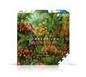 Puzzle 1000 Ernst Haeckel Muscinae  - 
