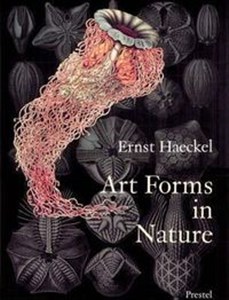 Art Forms in Nature Prints of Ernst Haeckel polish books in canada