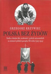 Polska bez Żydów Studia z dziejów idei, wyobrażeń i praktyk antysemickich na ziemiach polskich początku XX wieku polish usa