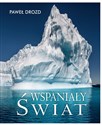 Wspaniały świat buy polish books in Usa