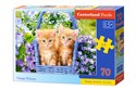 Puzzle 70 Ginger Kittens - 