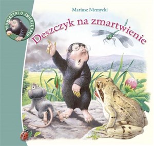 Deszczyk na zmartwienie pl online bookstore