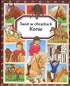 Konie Świat w obrazkach - Polish Bookstore USA